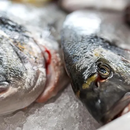 شقة فندقية Su Recreu